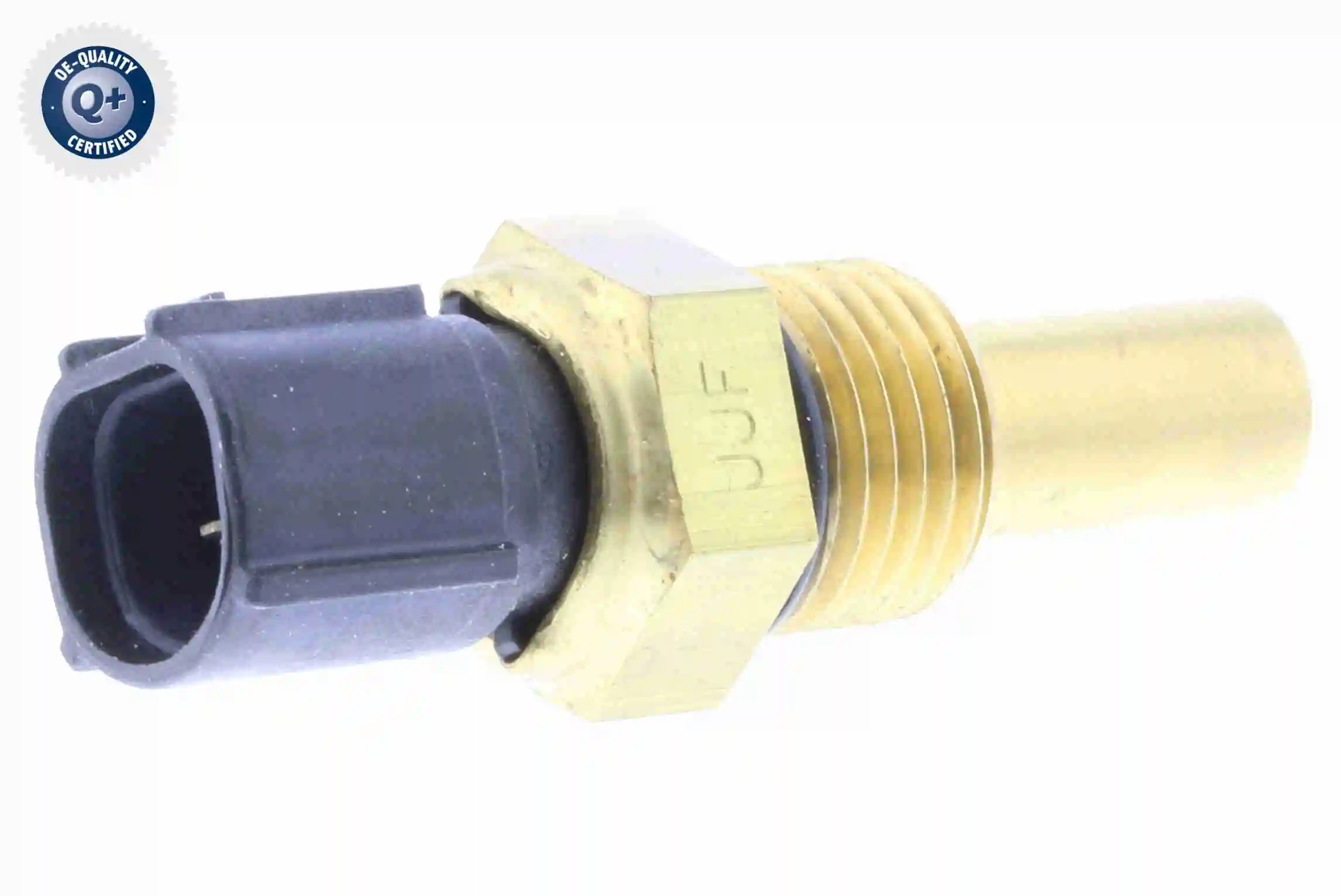 V52990022 Vemo
