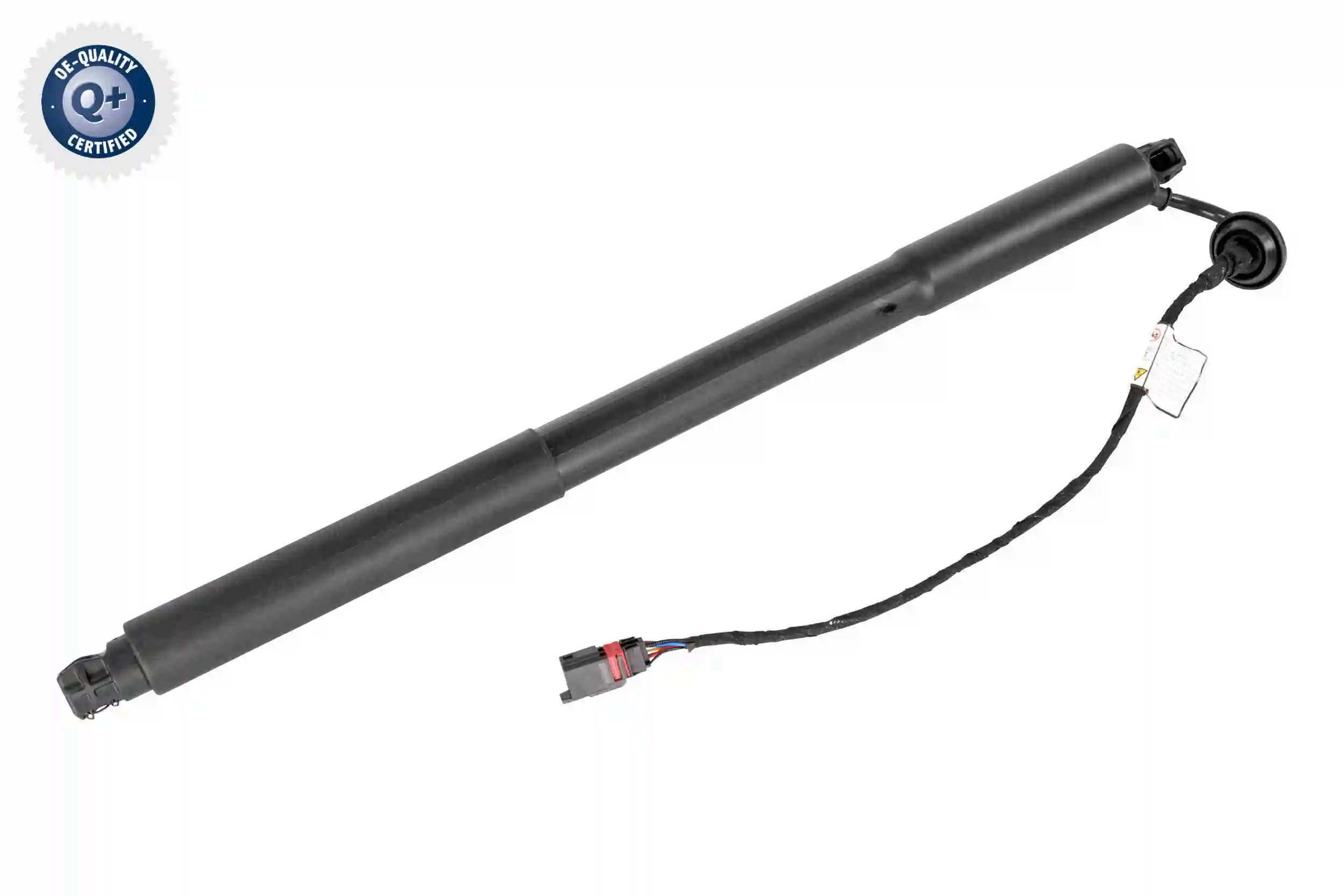 V95550002 Vemo