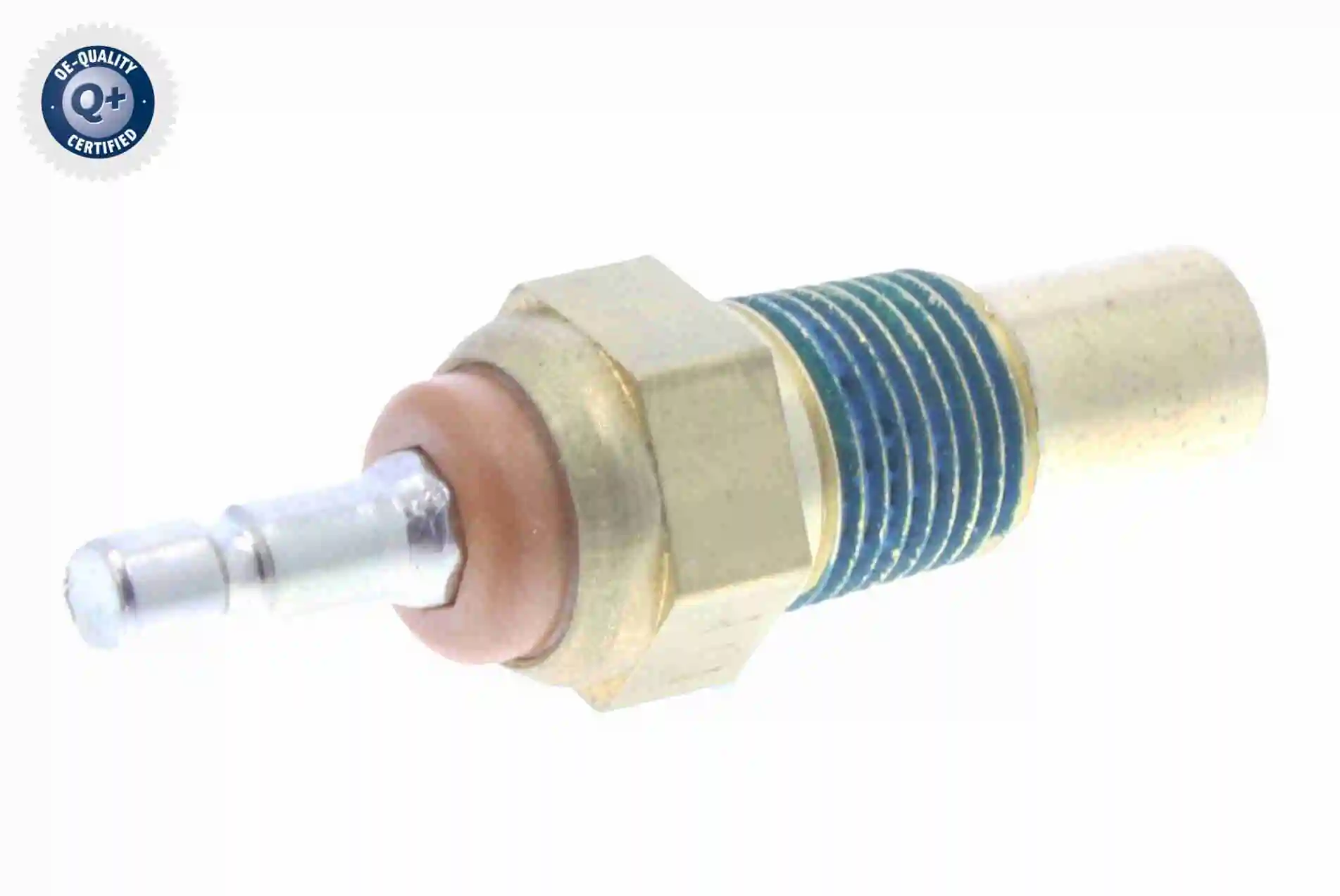 V53720006 Vemo