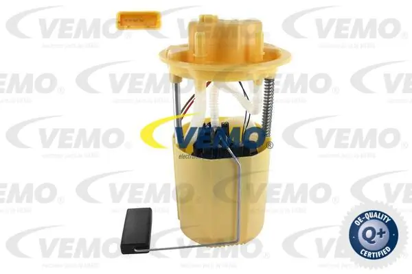 V24090050 Vemo