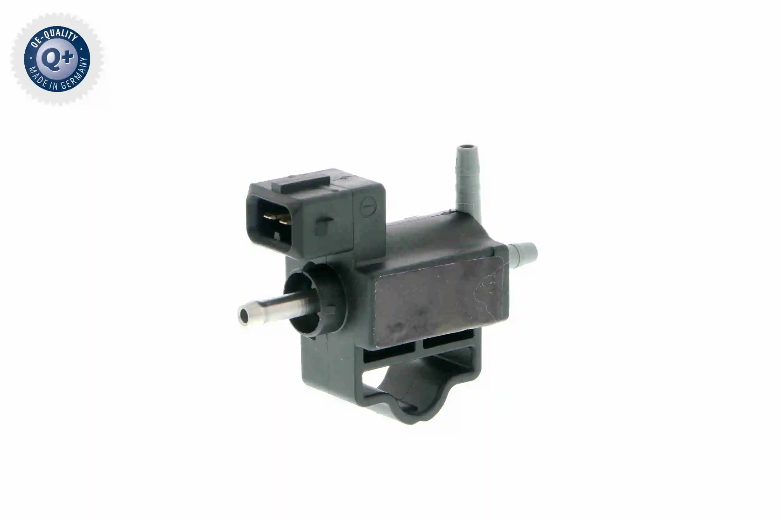 V40630043 Vemo