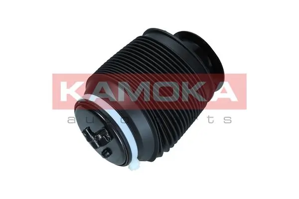 2079037 Kamoka