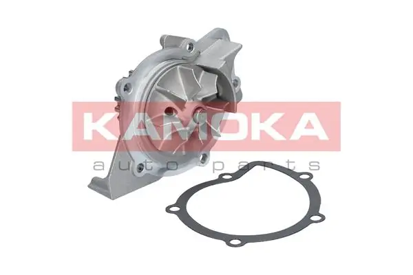 T0091 Kamoka