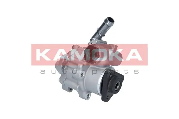 PP028 Kamoka