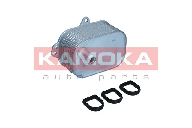 7730099 Kamoka