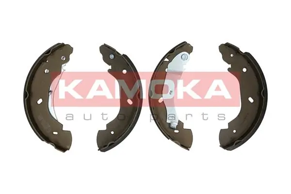 JQ202033 Kamoka