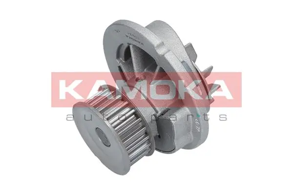 T0231 Kamoka