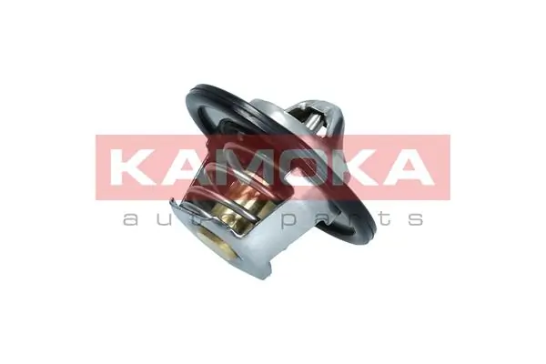 7710079 Kamoka