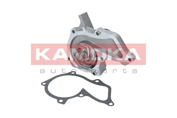 T0134 Kamoka