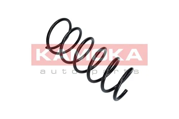 2110304 Kamoka