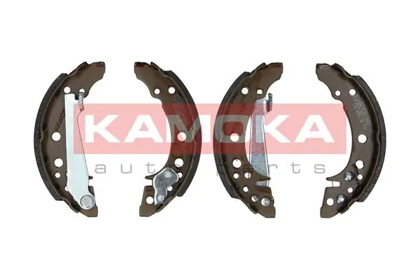 JQ202002 Kamoka