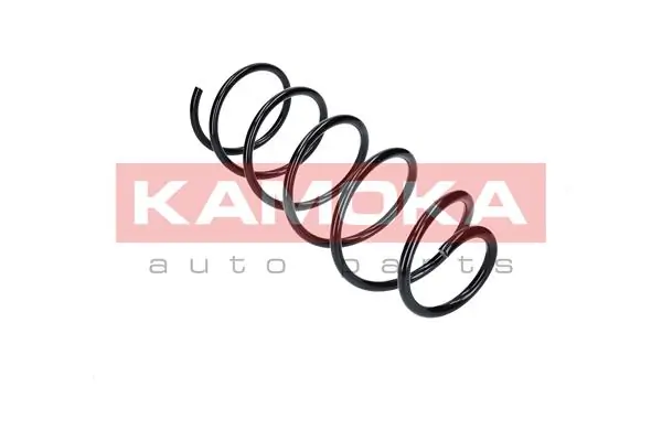 2110217 Kamoka