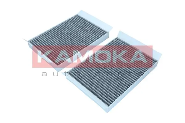 Filtro antipolen para Mercedes S  A217