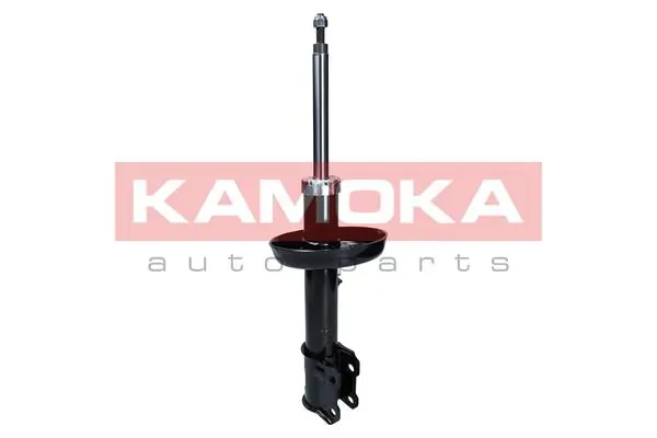 2000298 Kamoka