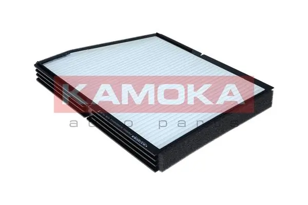 F428201 Kamoka