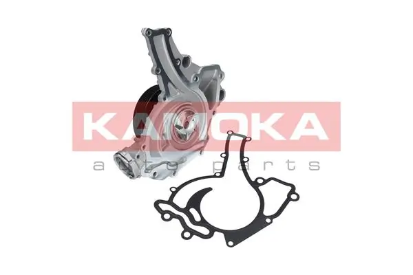 T0195 Kamoka