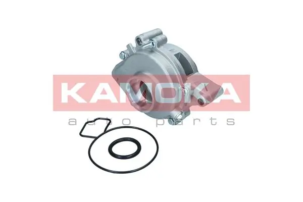 T0007 Kamoka