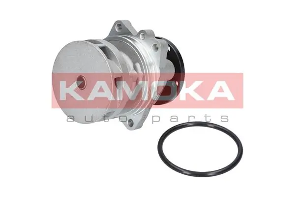 T0059 Kamoka