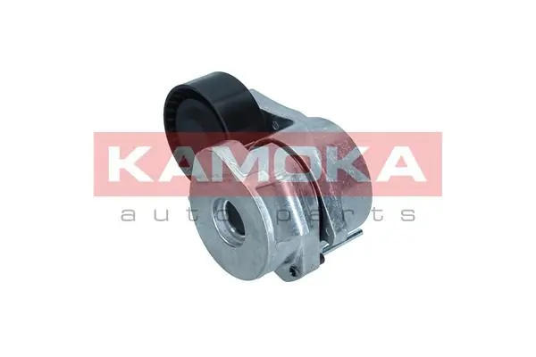 Polea tensora para Peugeot Boxer III 250