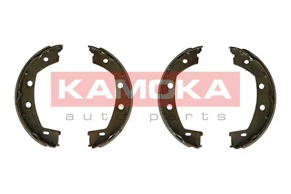 JQ212059 Kamoka