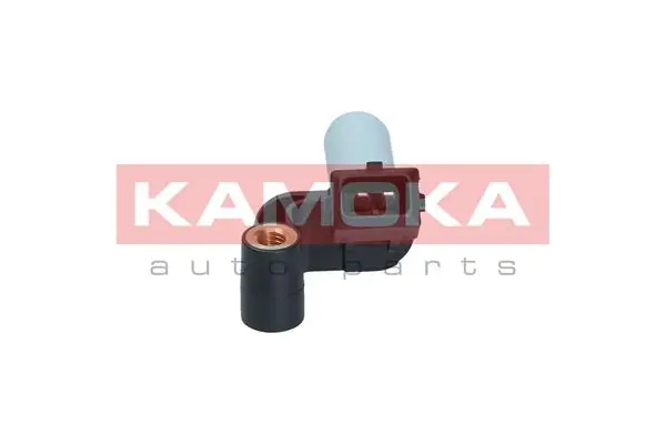 109020 Kamoka