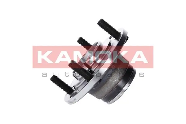 5500039 Kamoka Buje de rueda trasero