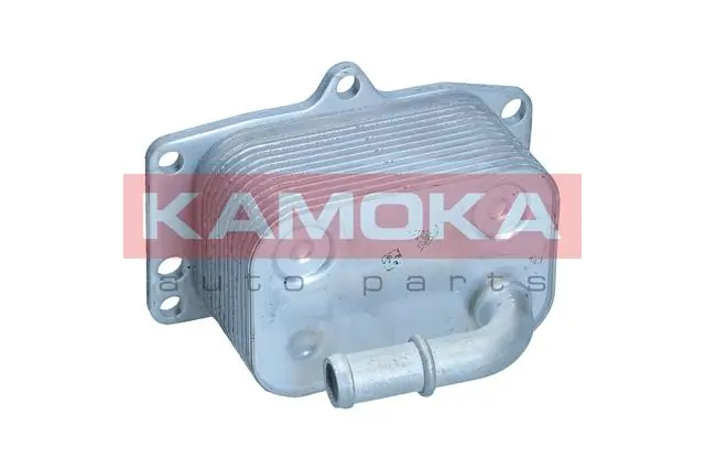7730081 Kamoka