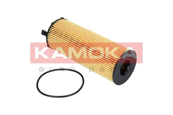 F110001 Kamoka
