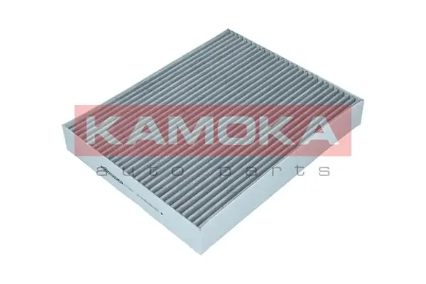 F513201 Kamoka