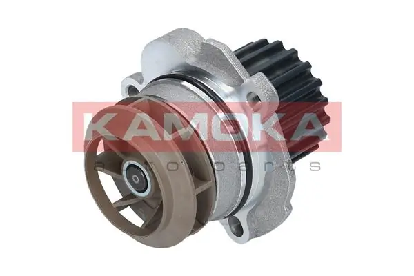 T0027 Kamoka