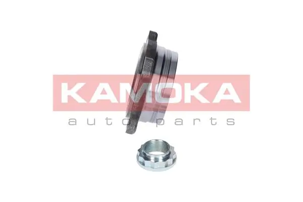 Cojinete de cubo BMW 5 
