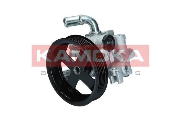 PP113 Kamoka
