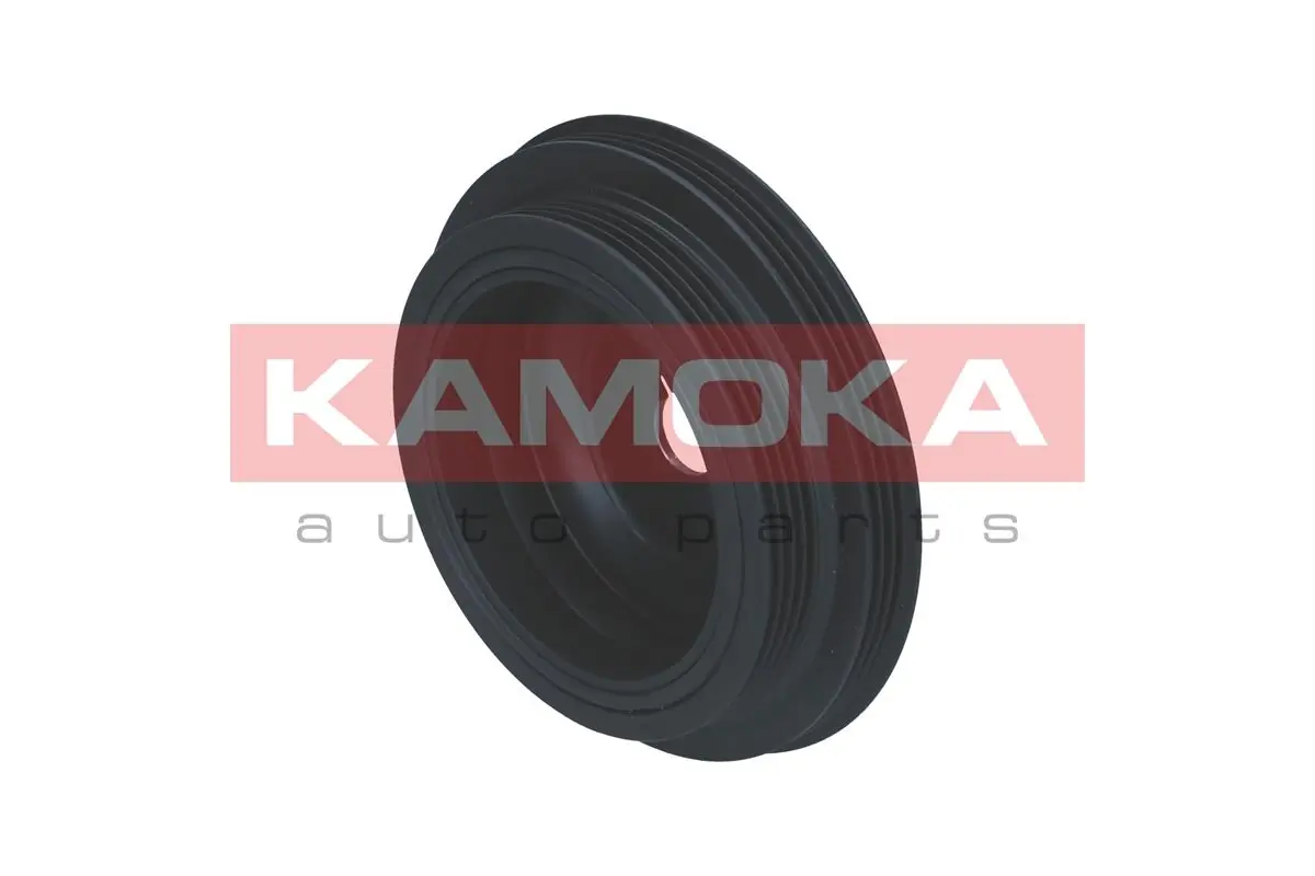 Comprar Polea de cigüeñal Renault Twingo I C06