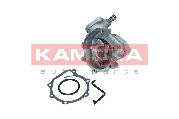 T0260 Kamoka
