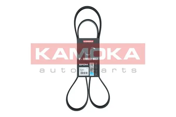 ERR5911 Ford Correa poly v