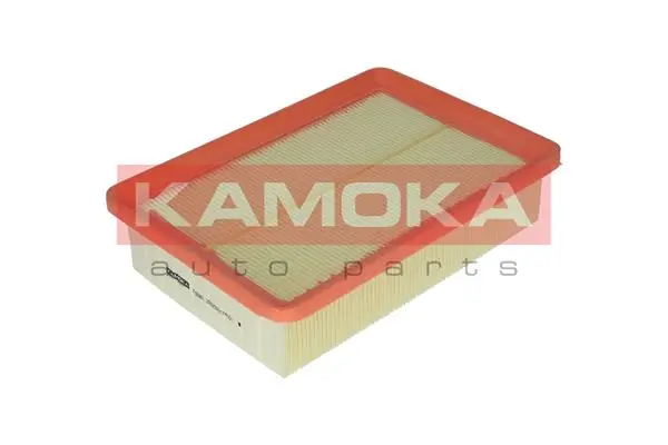 F205801 Kamoka