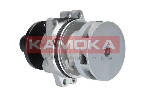 T0058 Kamoka