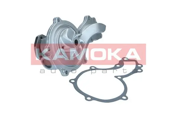 T0044 Kamoka