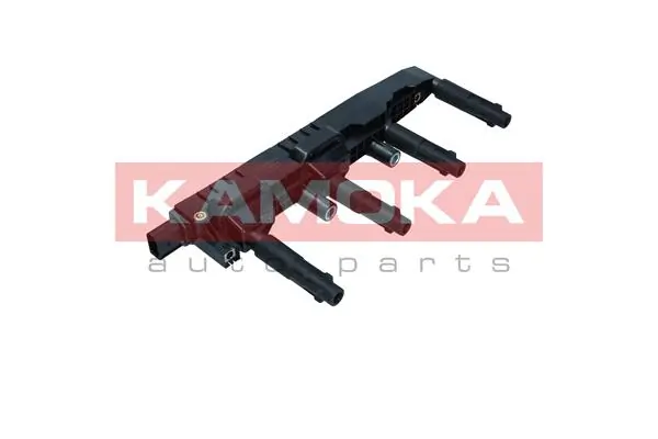 7120166 Kamoka