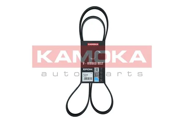 Correa poly v para Nissan JUKE JPN F15