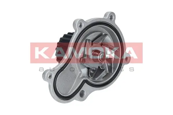 T0076 Kamoka