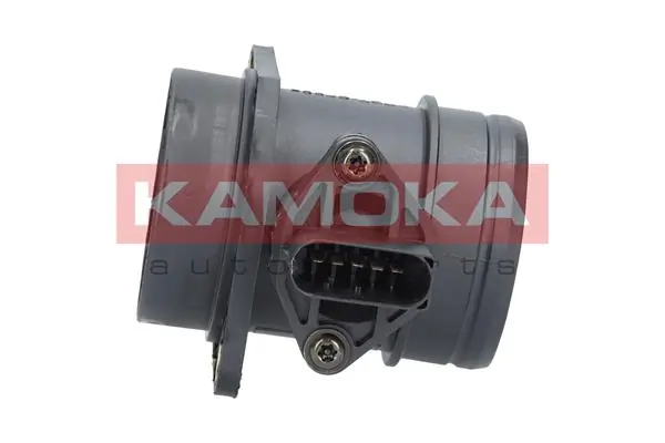 18012 Kamoka