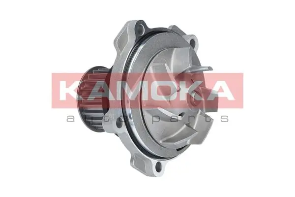 T0077 Kamoka