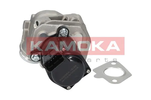 19029 Kamoka