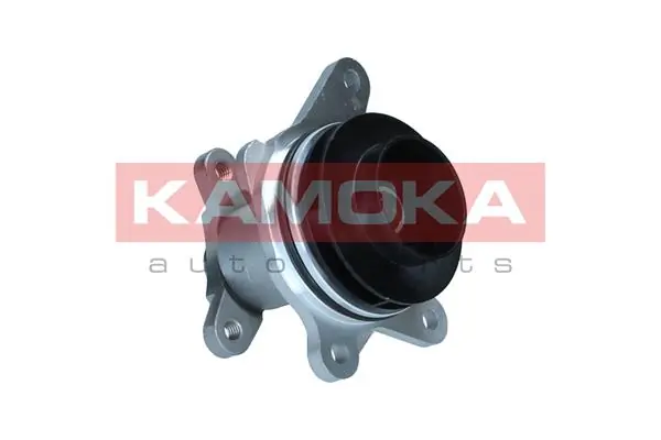 T0297 Kamoka