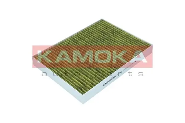 6080054 Kamoka