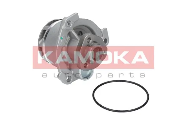 T0234 Kamoka