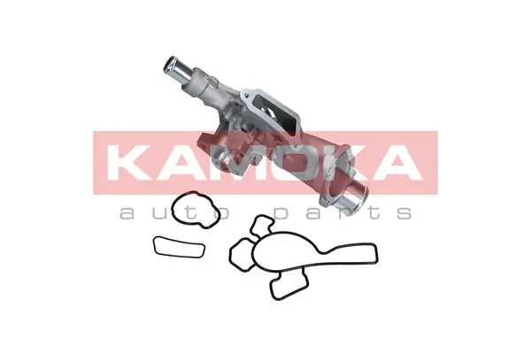 T0225 Kamoka