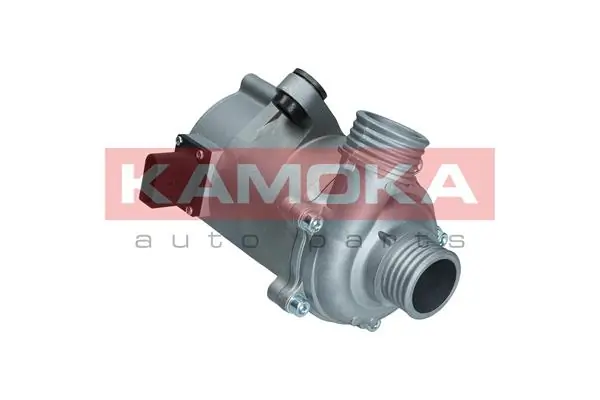 T9002 Kamoka