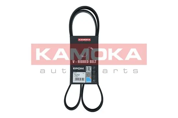 504000413 VAG Correa poly v